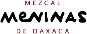 Meninas de Oaxaca